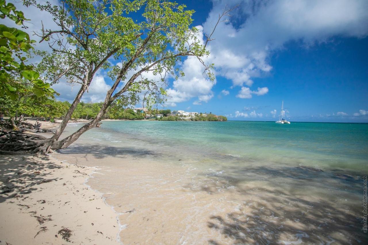 Bungalow Ti Banane Sainte-Luce Bagian luar foto